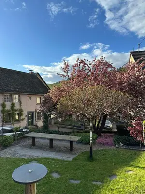 Ein Garten an der Unterkunft FeWo Moselruhe