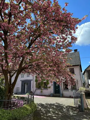 Ein Garten an der Unterkunft FeWo Moselruhe