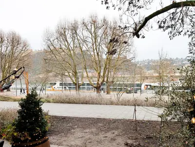 Naturlandschaft in der Nähe der Ferienwohnung