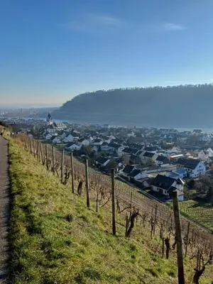 Naturlandschaft in der Nähe der Ferienwohnung