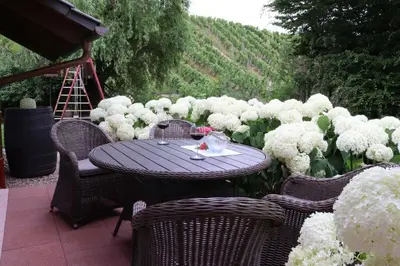 Ein Garten an der Unterkunft Ferienwohnung Weinbergsliebe