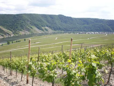 Naturlandschaft in der Nähe des Ferienhauses