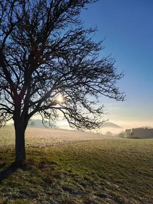 Naturlandschaft in der Nähe der Ferienwohnung