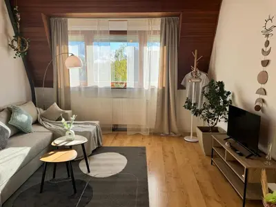 TV/Unterhaltungsangebot in der Unterkunft Stilvolles Apartment in Koblenz