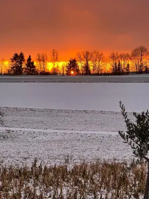 Blick auf den Sonnenuntergang/Sonnenaufgang von der Ferienwohnung aus oder aus der Nähe