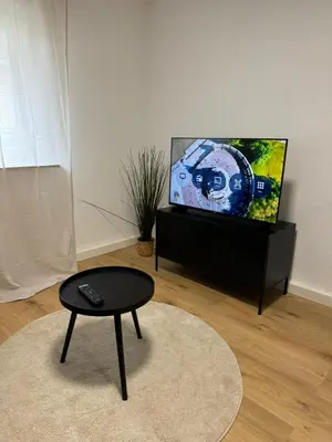 TV/Unterhaltungsangebot in der Unterkunft WW02 - Businessapartment Koblenz