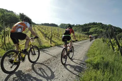 Radfahren an der Unterkunft Premium Apartment Kahuna - Villa Rizas Hills oder in der Nähe