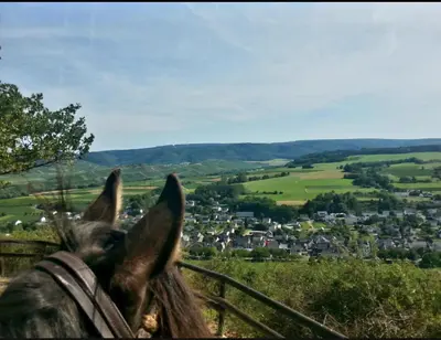 Reiten in der Ferienwohnung oder in der Nähe