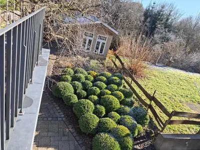 Ein Garten an der Unterkunft Ferien-Appartement