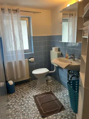 Ein Badezimmer in der Unterkunft Ferienwohnung 5 in direkter Nähe zum Rhein