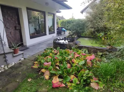 Ein Garten an der Unterkunft Ferienwohnung Rotha