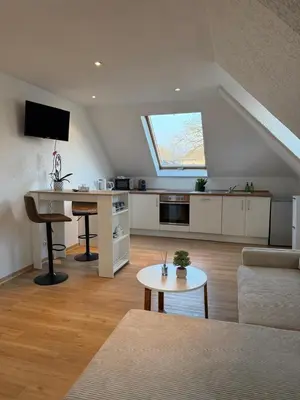 TV/Unterhaltungsangebot in der Unterkunft Schickes Apartment am Rhein