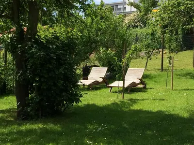 Ein Garten an der Unterkunft Ferienwohnungen Perlina Karpat