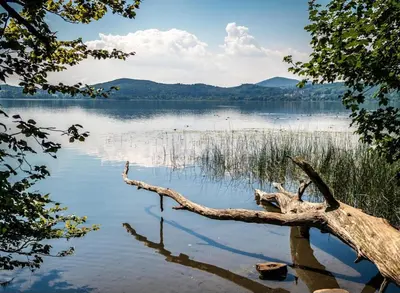 Grundriss der Unterkunft Tiny Haus bei Laacher See modernes voll ausgestattet