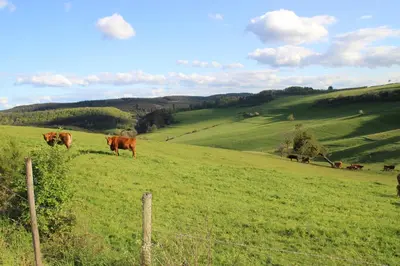 Naturlandschaft in der Nähe des Ferienhauses