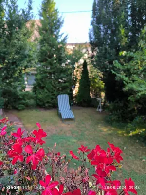 Ein Garten an der Unterkunft Ferienwohnung Horst Schäfer