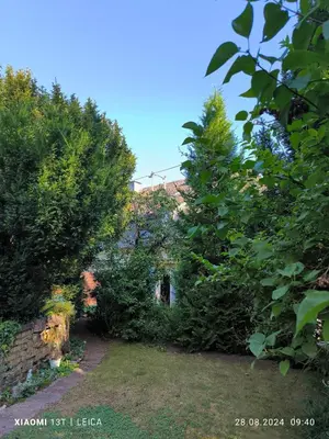 Ein Garten an der Unterkunft Ferienwohnung Horst Schäfer
