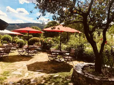 Naturlandschaft in der Nähe des Bed & Breakfasts