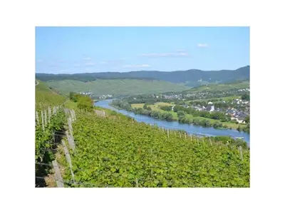 Naturlandschaft in der Nähe des Ferienhauses