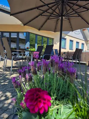 Ein Garten an der Unterkunft Weinhaus Thomas