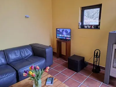 TV/Unterhaltungsangebot in der Unterkunft Haus Burg, Ferienhaus
