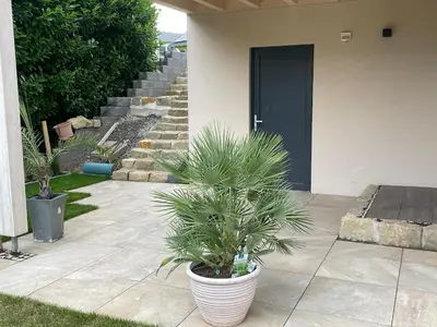 Ein Garten an der Unterkunft gemütliche Ferienwohnung
