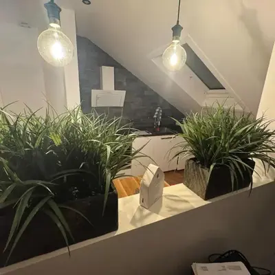 Apartment inklusiver großer Terrasse