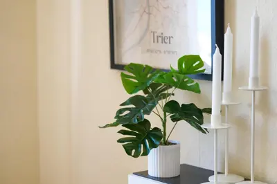 Grundriss der Unterkunft MARX - Studio-Apartment im Zentrum von Trier - Top-Lage, Gratis WLAN, ideal für Paare & Geschäftsreisende