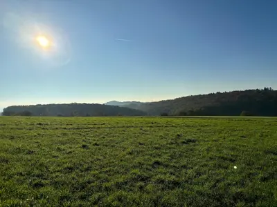 Naturlandschaft in der Nähe der Ferienwohnung