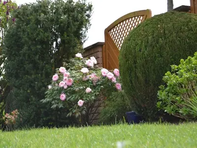 Ein Garten an der Unterkunft Ferienwohnung am Park - Vulkanferien
