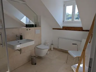 Ein Badezimmer in der Unterkunft Winzervilla Kammerhof - 3x stilvolle & geräumige FeWos mit Moselblick, 2-12 Gäste buchbar, direkt am Moselradweg