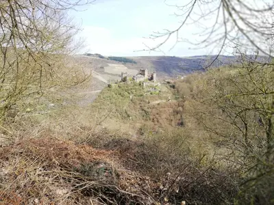 Naturlandschaft in der Nähe der Ferienwohnung