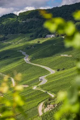 Naturlandschaft in der Nähe des Privatzimmers
