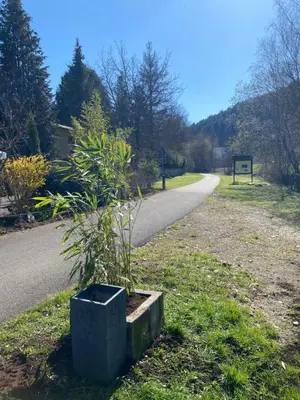 Ein Garten an der Unterkunft Ferienwohnung am Ruwer-Hochwald-Radweg, Fewo 2