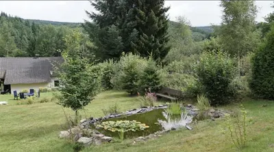 Naturlandschaft in der Nähe der Ferienwohnung