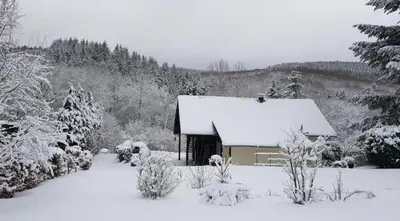 Steffis Hochwaldidyll im Winter