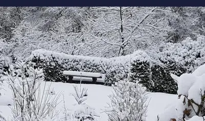 Steffis Hochwaldidyll im Winter