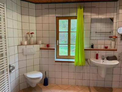 Ein Badezimmer in der Unterkunft Ferienhaus mit zwei Wohnungen für 2-6 Personen in der Dreiherrenmühle an der Mosel
