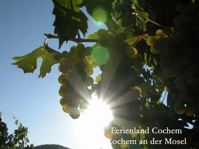 Grundriss der Unterkunft Ferienwohnungen Ferienland Cochem