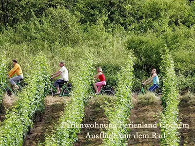 Gäste, die in der Unterkunft Ferienwohnungen Ferienland Cochem übernachten