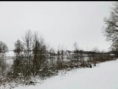 Seeblick im Winter