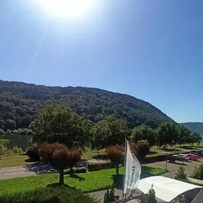 Silvaner