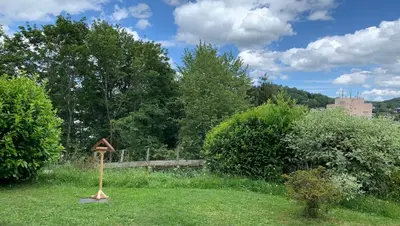 Ein Garten an der Unterkunft Ferienwohnung Schwung