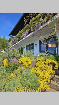 Ein Garten an der Unterkunft Ferienwohnung am Meulenwald