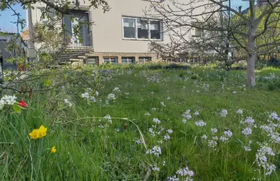 Ein Garten an der Unterkunft Ferienwohnung Melba