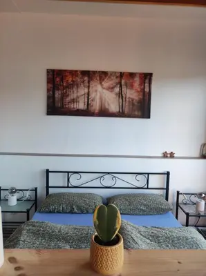 Ein Bett oder Betten in einem Zimmer der Unterkunft Ferienwohnung Frida