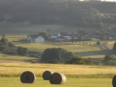 Naturlandschaft in der Nähe der Ferienwohnung
