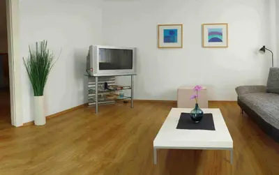 TV/Unterhaltungsangebot in der Unterkunft Ferienwohnung Erz