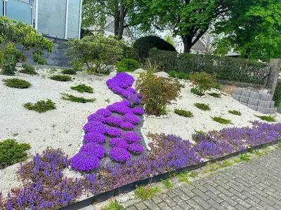 Ein Garten an der Unterkunft Ferienwohnung Hochwaldblick 4