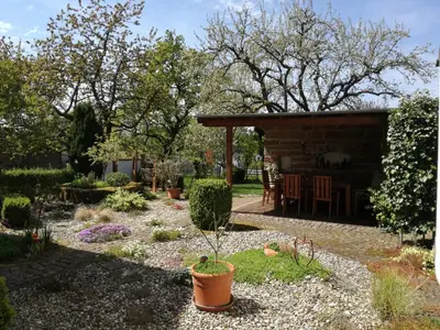 Ein Garten an der Unterkunft FeWo Thul